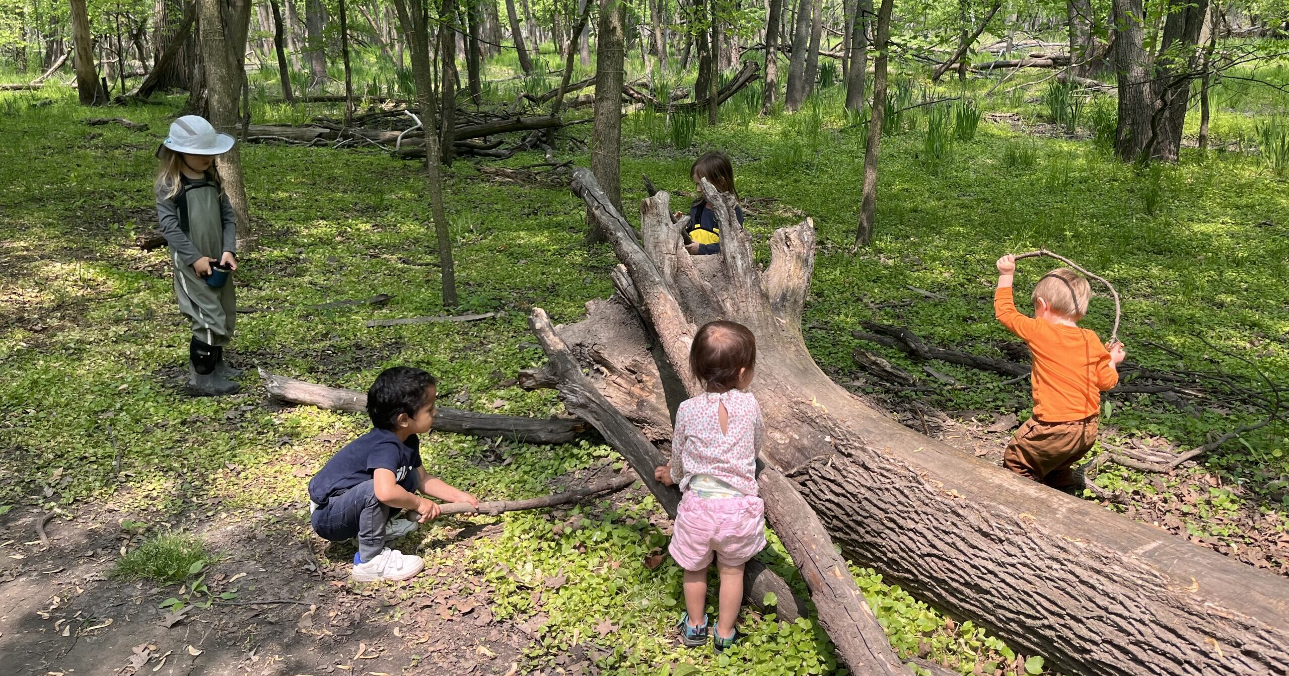 archives-events-collecting-rainwater